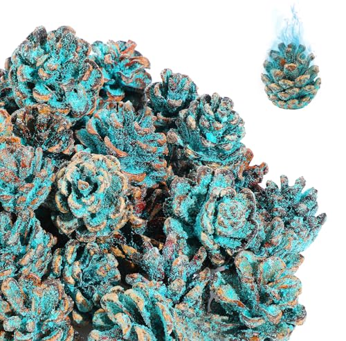 80 Pcs Flame Color Changing Pine Cones - Burning Fireplace Pinecones with Magical Blue-Green Flames for Fireplace Holidays Fire Pit Wood Stove Campfire Color Changing