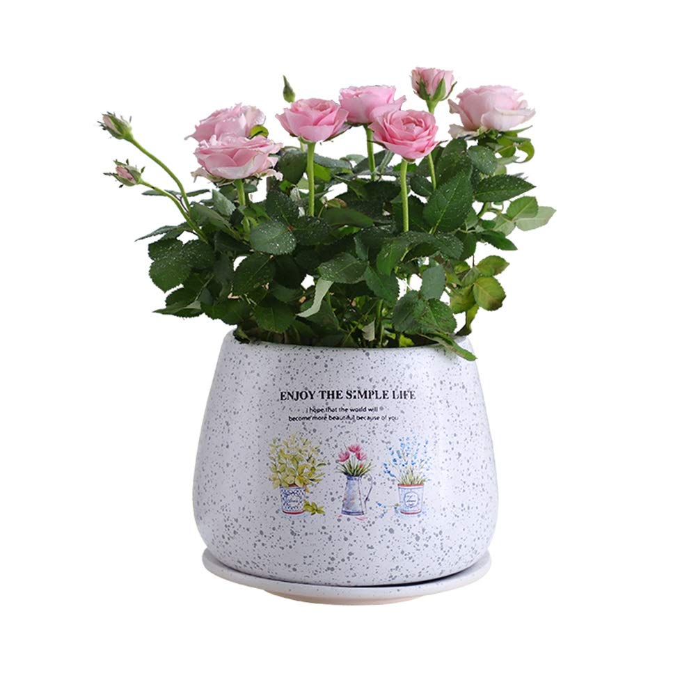 Macetas de jardín de cerámica europea para decorar tu mesa interior 8