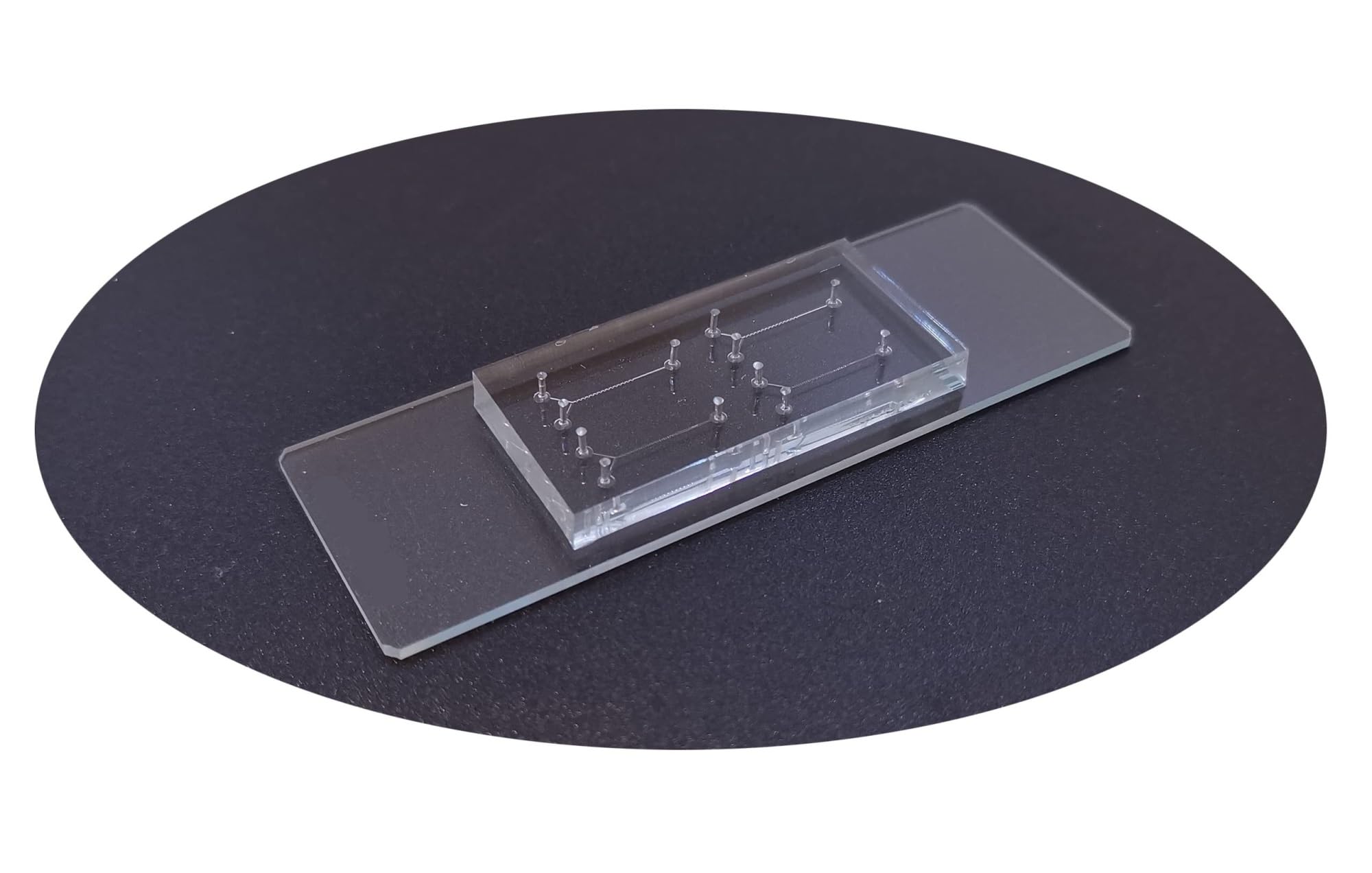 Microfluidics BioChip A01-200 A02-200 – PDMS-Mikrofluidik-Chip for das LNP-Flüssigkeitskontrollsystem(LNP A02-200)