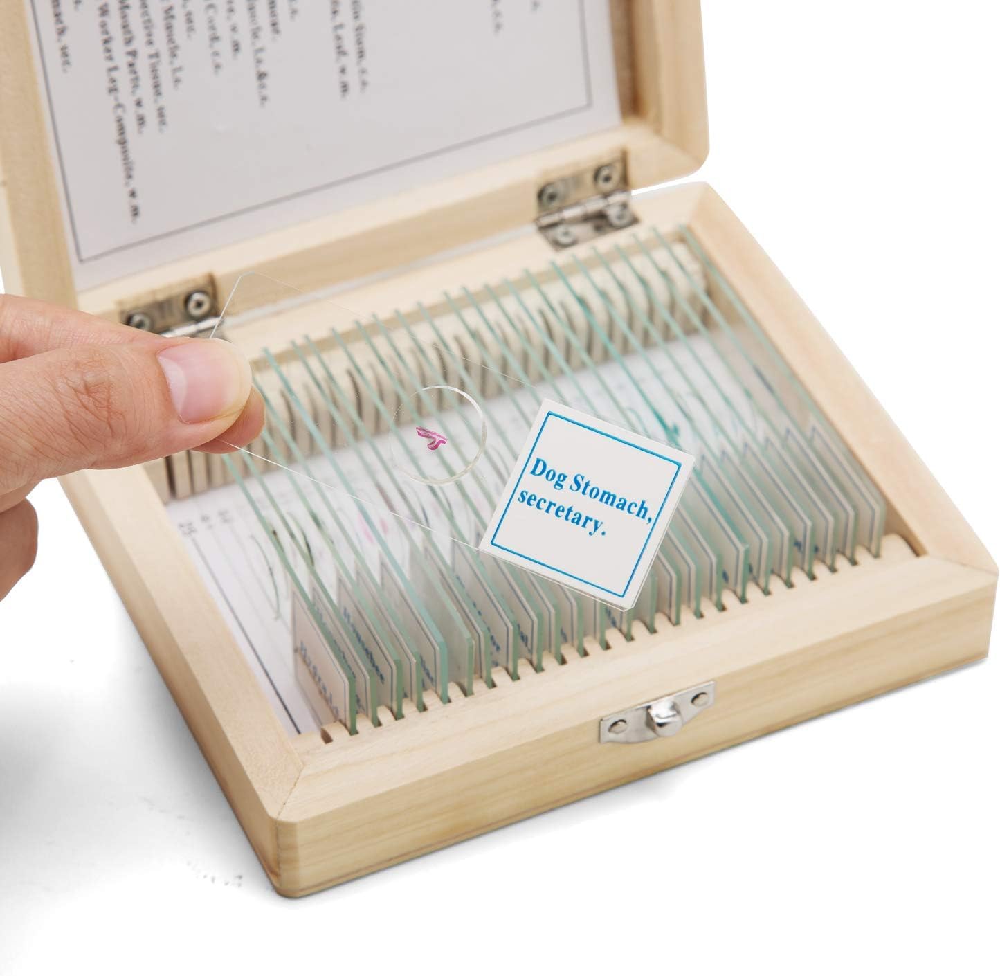 Caja de madera de microscopio óptico de 25 piezas SWIFT para aprender el conjunto experimental de muestras de tejidos de animales y plantas permanentes