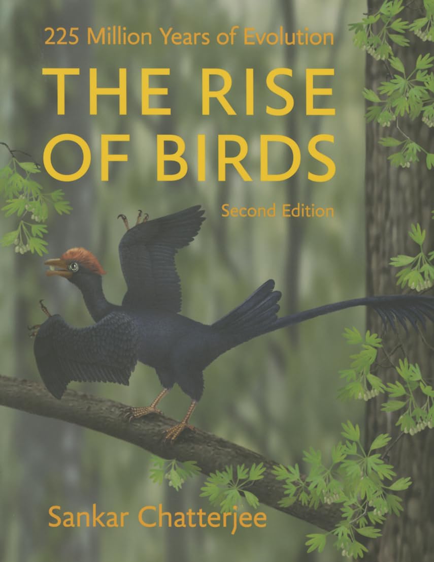 The Rise of Birds: 225 Million Years of Evolution