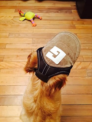 Miniatura 4 de Gorra de béisbol para mascotas, gorra deportiva para exteriores, protección solar, gorra de verano para perros pequeños, medianos y grandes (gorra