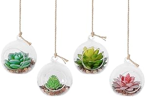 TQVAI Hanging Glass Globe Terrariums for Plants