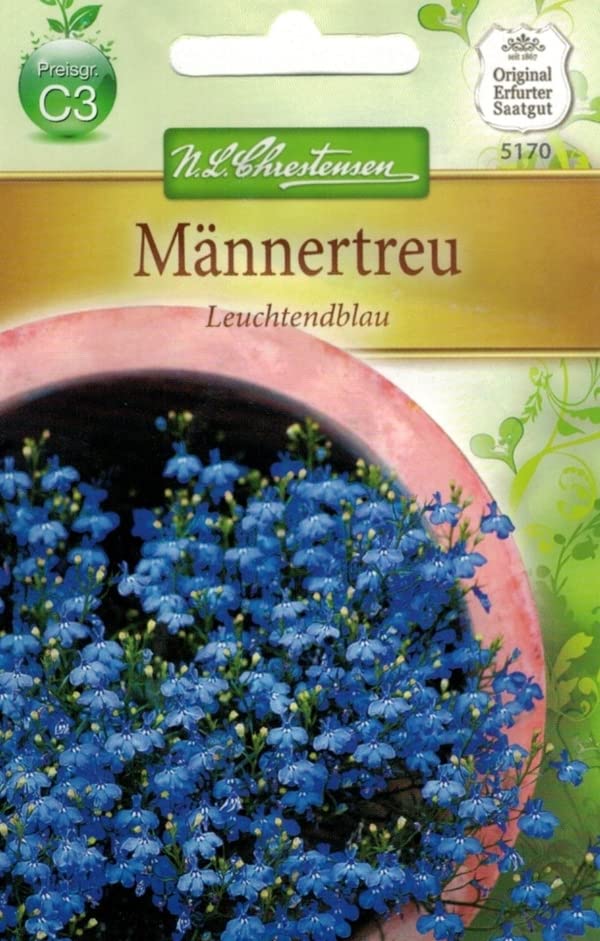 N.L.Chrestensen 5170, Lobelia erinus Männertreu, Leuchtendblau, Blau