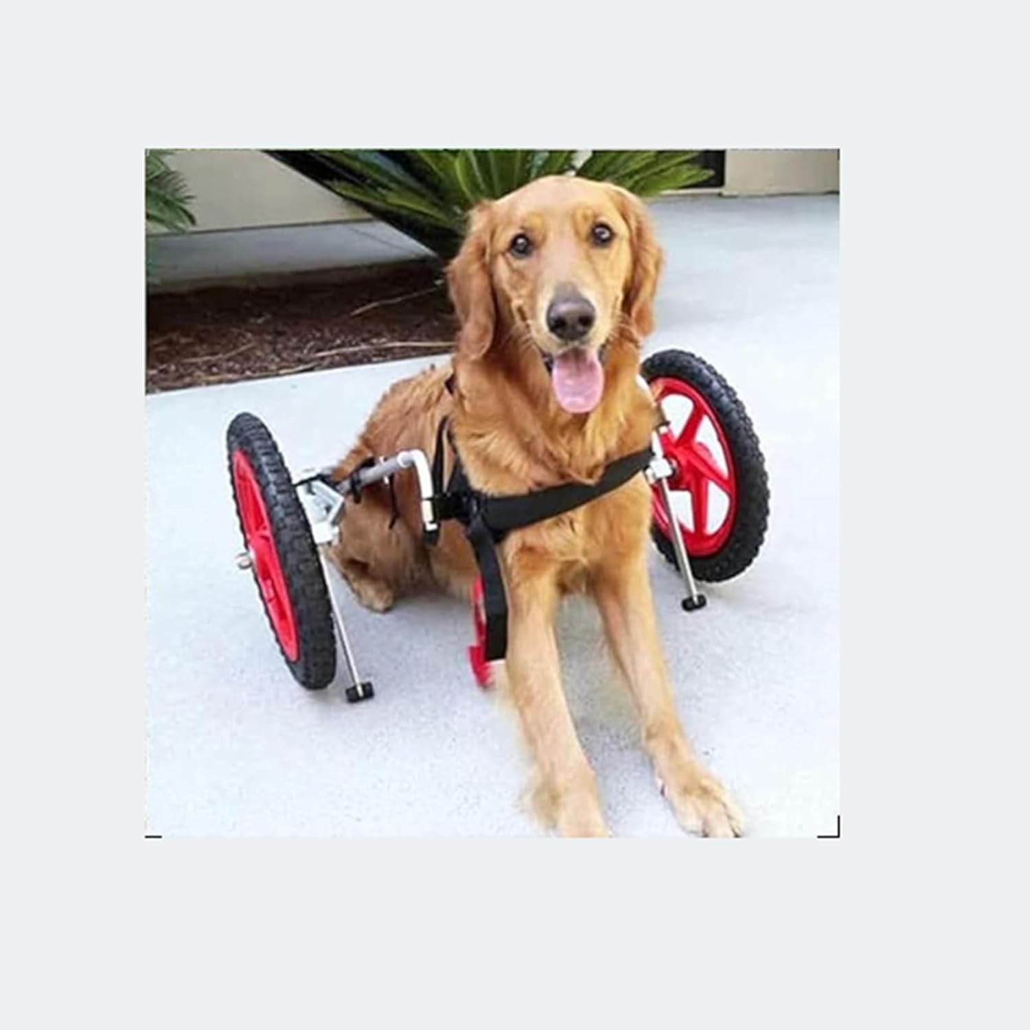Silla de ruedas para perros de aluminio y acero inoxidable de dos ruedas