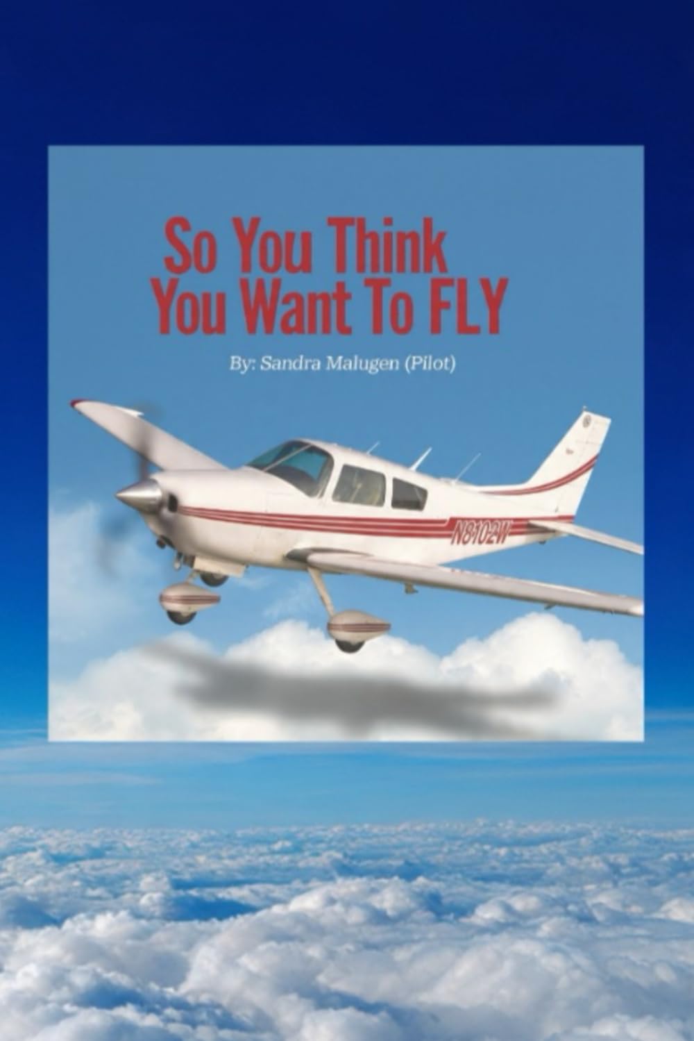 so you think you want to Fly