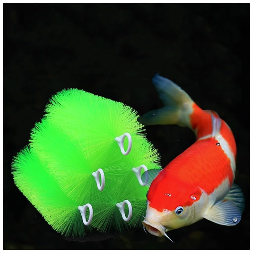 GZHERVICES Aquarium-Filterbürste, Teichfilterbürsten, Teichfiltrationsset, Lange Reinigungsbürste aus Edelstahl, Teichskimmerfilter, für Koiteiche, Wassergärten(Green-20pcss,30cm/11.81in)