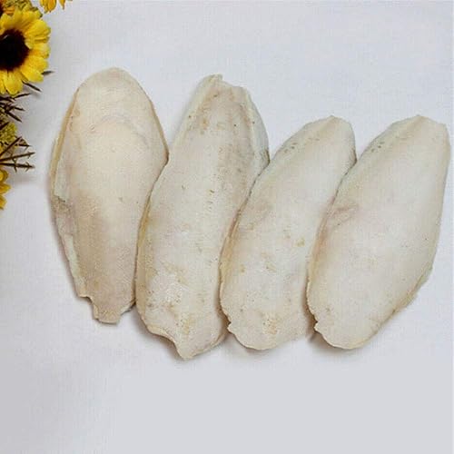 Miniatura 1 de Acxico 10 piezas de huesos de sepia molares para mascotas Huesos de sepia Huesos de sepia 3.1-3.9 in