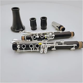 Clarinet Student A Tune Clarinet Wood Material Body 17 Keys Musical Instruments Clarinet Clarinet for Beginner