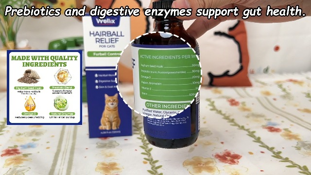 Amazon.com : Wellix 120ml Cat Hairball Remedy Drops, Hairball
