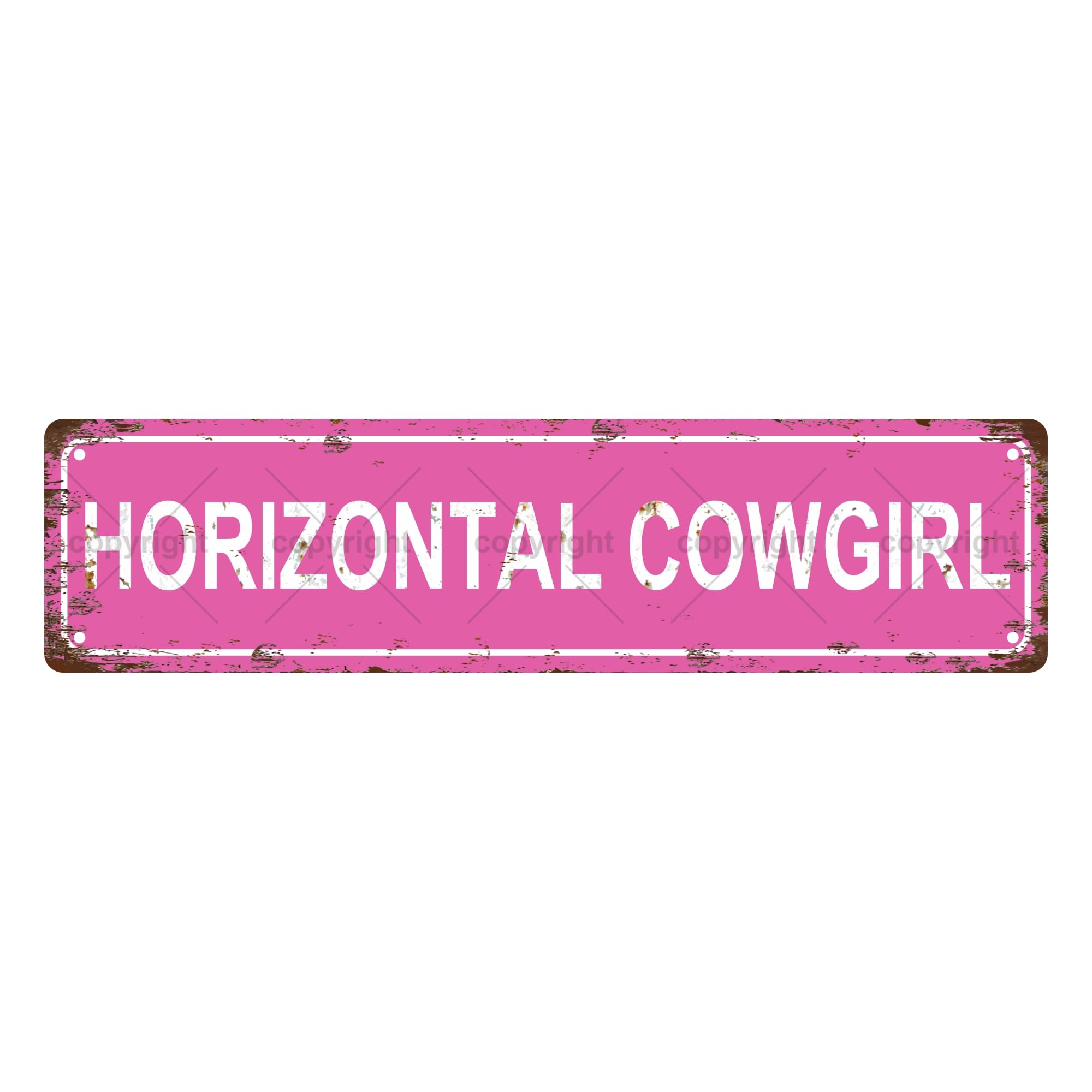 Horizontal Cowgirl Sexual Metal Tin Street Sign Bar Cafe Garage Cave Home Room Wall Bathroom Farmhouse Garden Porch Patio Decor,4x16 Inch