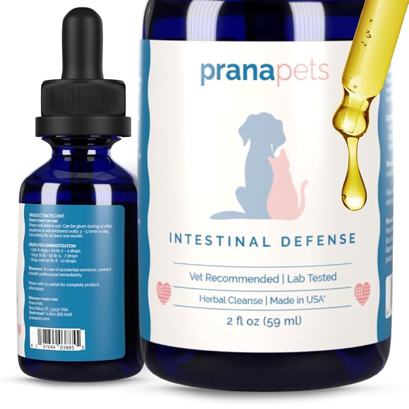 Suplemento digestivo líquido para cães e gatos PranaPets com blend de ervas, 60 mL
