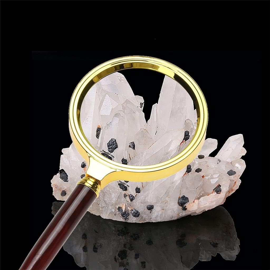 掛軸■【宮﨑登至】作 真筆保証書付き（美術名典評価額35万円）兎 ウサギ 肉筆⑤ 掛軸□【宮﨑登至】作 真筆保証書付き（美術名典評価額35万円）兎