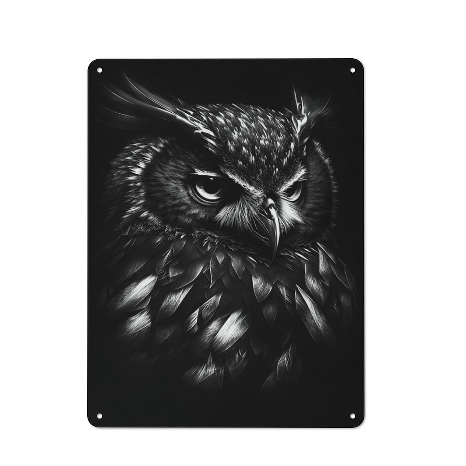 Junmoney Style-5 Vintage Decorative Tin Sign 40X30cm Featuring Bw Owl, Retro Room Decor For Bedroom, Office, Home Bar Or Dining Room