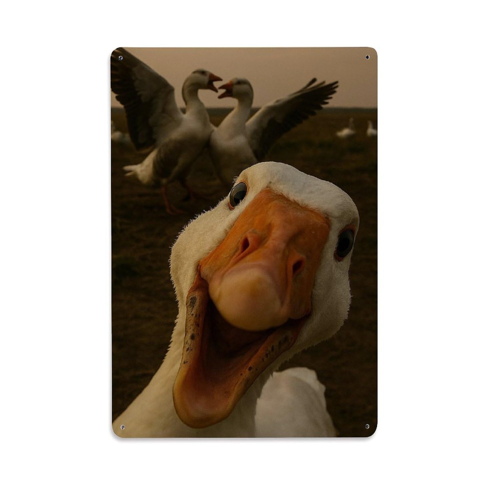 Funny Pet Abstract Goose Animal Companion Wildlife Nature Metal Tin Sign Plaque Wall Decor for Cafe, Man Cave, Club Bar, Office, Home Garden Round Metal Poster 8x12Inch