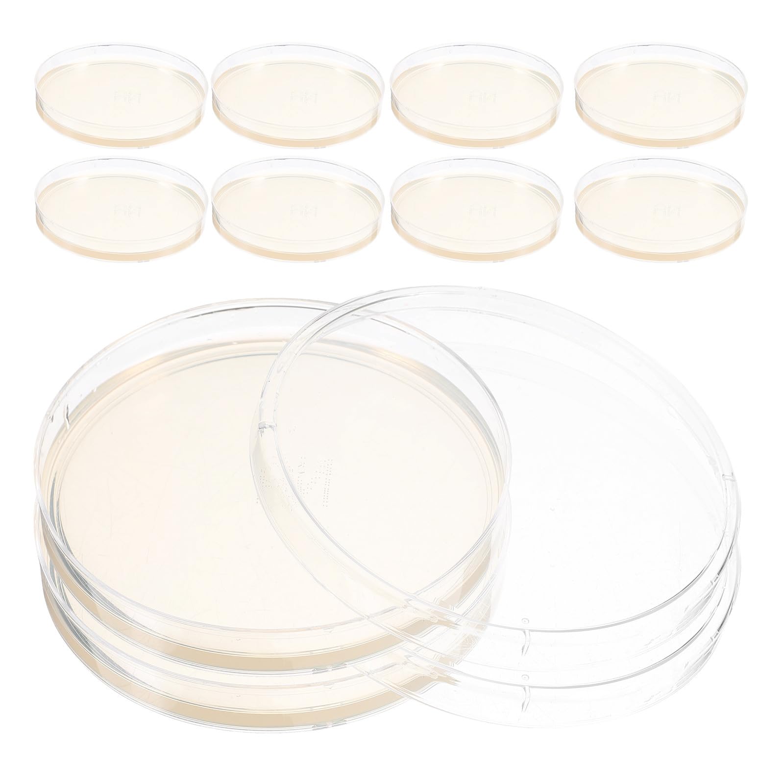 balacoo Piastre Petri Agar Nutriente Preversate 10 Pezzi Resistente a Uso Prolungato per Isolamento di Colture Pure ed Esperimenti Scientifici in Laboratorio