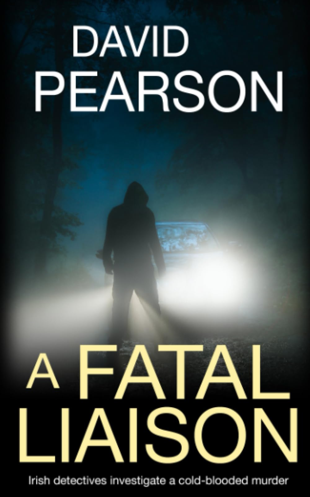 A Fatal Liaison: Irish detectives investigate a cold-blooded murder (The Dublin Homicides)
