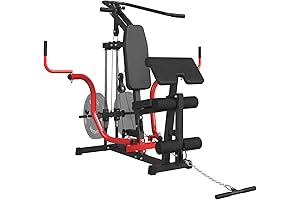 GMWD Home Lever Gym: Empower Your Fitness Journey