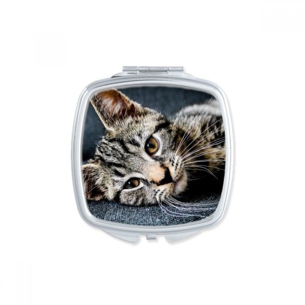 Miroir compact de maquillage imprimé chat pour le sac