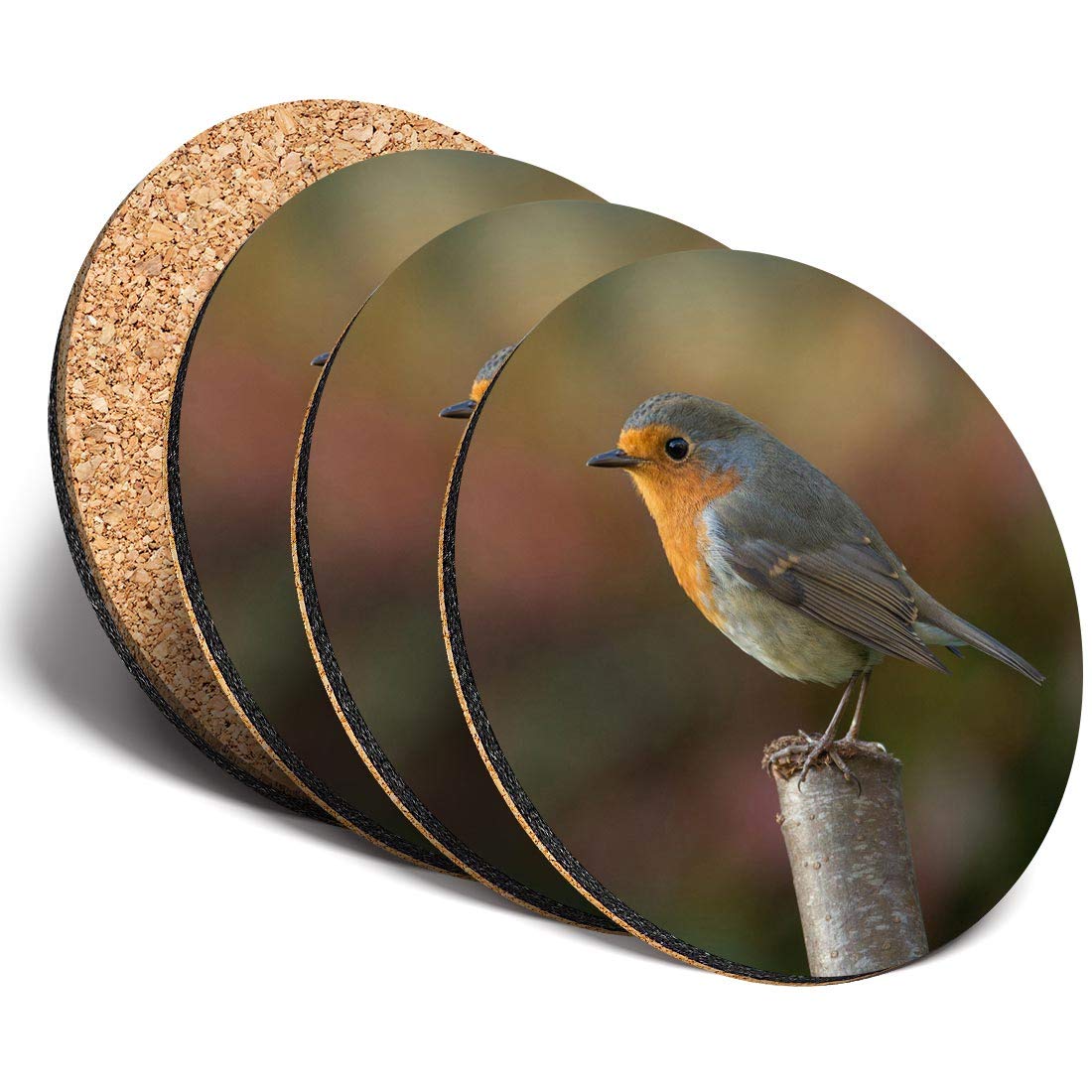 Destination Vinyl Ltd Multicolor Great Coasters (Set Of 4) Round - Red Robin Wildlife England Drink Glossy Coasters/Tabletop Protection For Any Table Type #13116