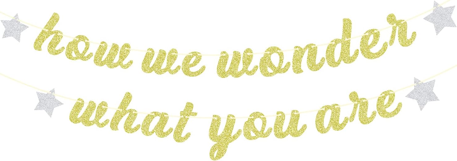 Amazon.com: How We Wonder What You Are Banner, Baby Shower Party Sign ...