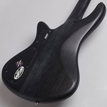 Amazon | SCHECTER STILETTO STUDIO エレキベース (シェクター
