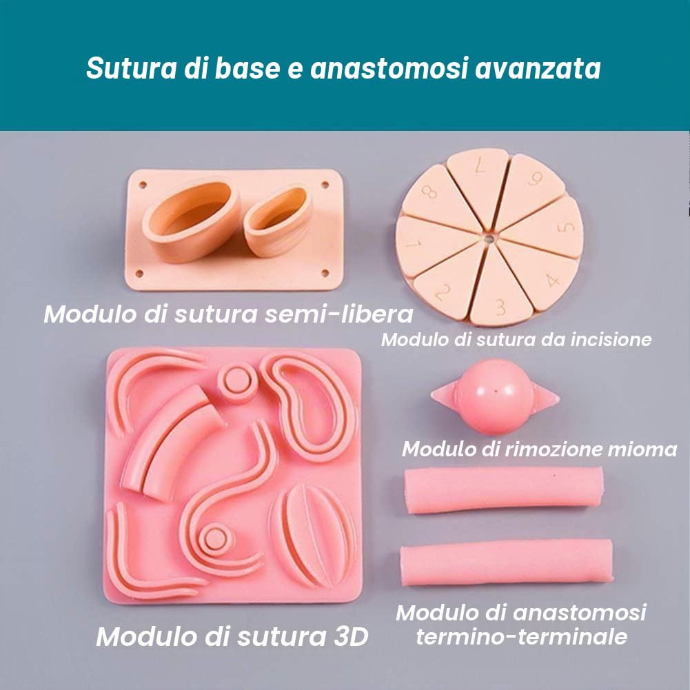Kit di Formazione Laparoscopicastrumenti Formazione Simulativa Chirurgia Laparoscopicakit Formazione Toracoscopicastrumenti Praticiendoscopi A 0 Gradi4 Strumenti Chirurgici9 Moduli Sutura