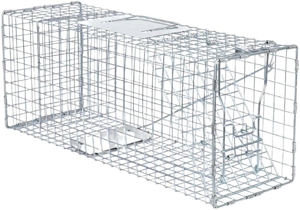 箱罠 mqdefault.jpg