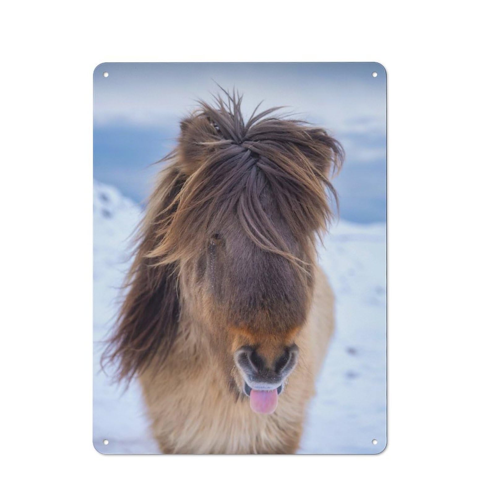 Junmoney Style-17 Cute Portrait Of Horse Rustic Metal Wall Sign 40X30cm For Workshop Wall, Suited To Makers And Diy Enthusiasts