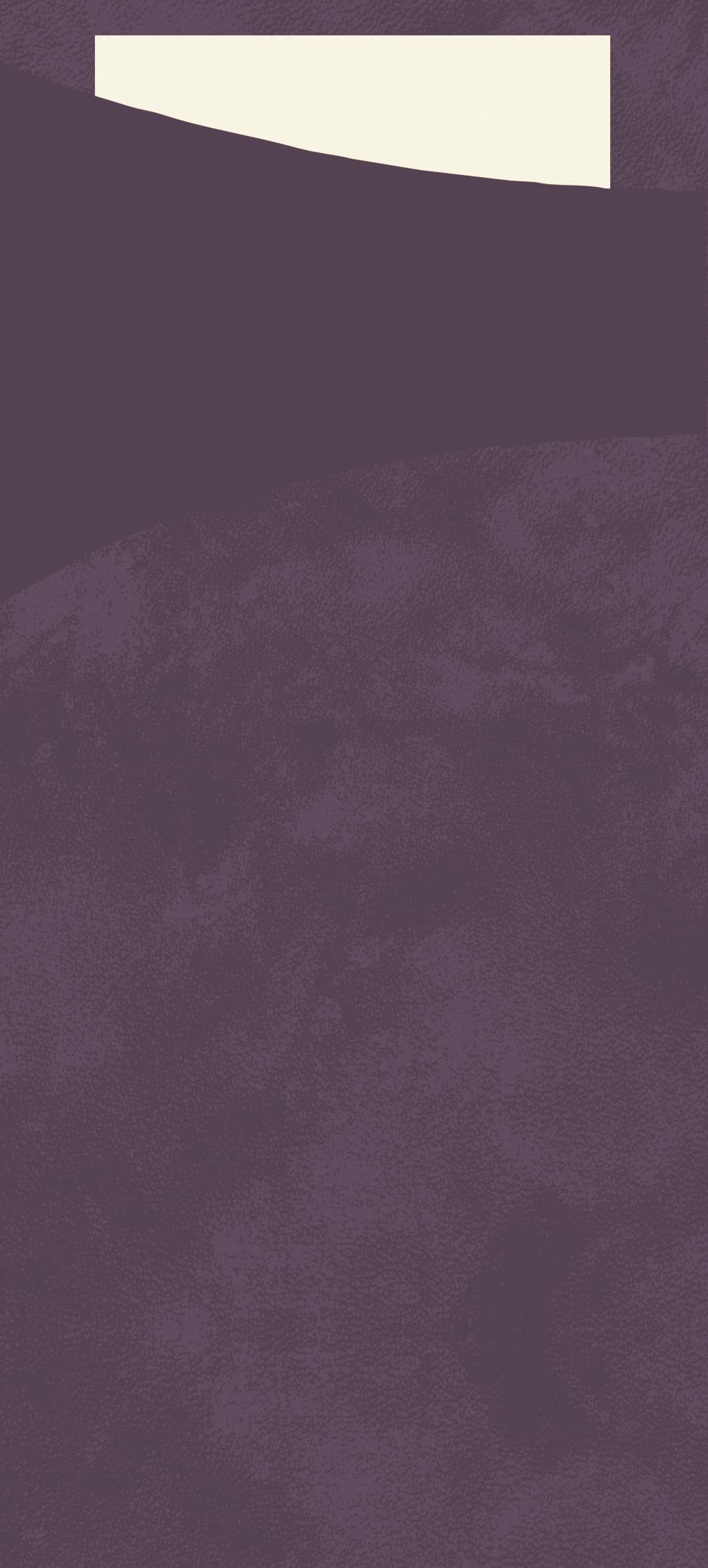 Duni Serviettentasche Bestecktasche Sacchetto Plum 190x85 mm 100er Pck.