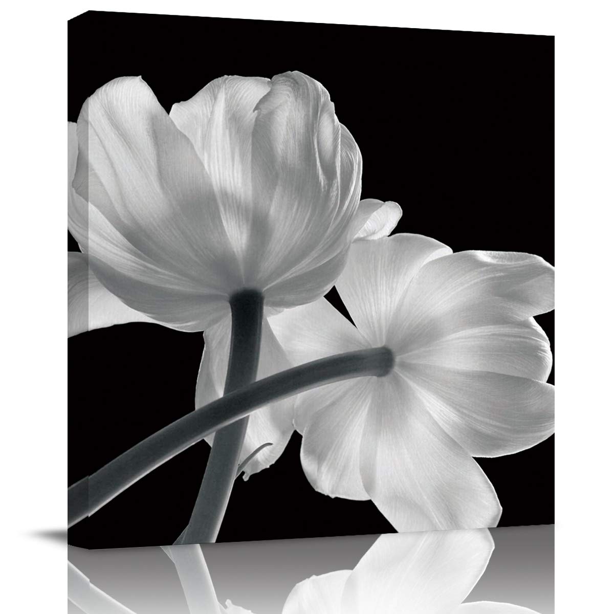 X Ray Floral Wall Art Decor For You