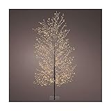  Holyart Arbre Lumineux Noir 1350 Micro LEDs Blanc Extra Chaud 150 cm pliants Branches int/ext