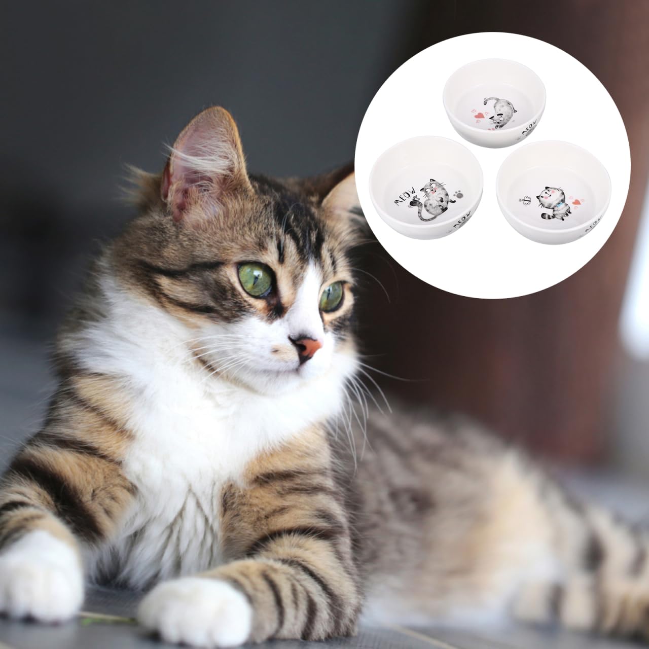 POPETPOP Keramik Napf Hund, Katzennapf Keramik, rutschfeste Futterschale FüR Katzen Und Hunde, Wassernapf Mit SüßEm Muster, 13cm, Weiß
