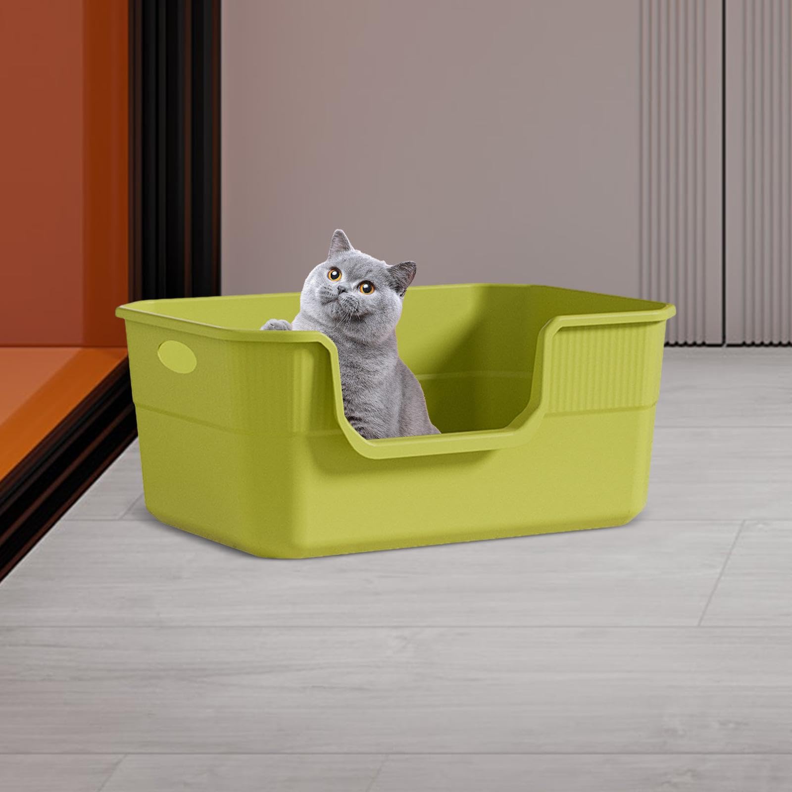 Colcolo Offene Katzentoilette, extra große, leicht zu reinigende, 24 cm hohe Bettpfanne für Katzen im Innenbereich, Sandkasten, Grün
