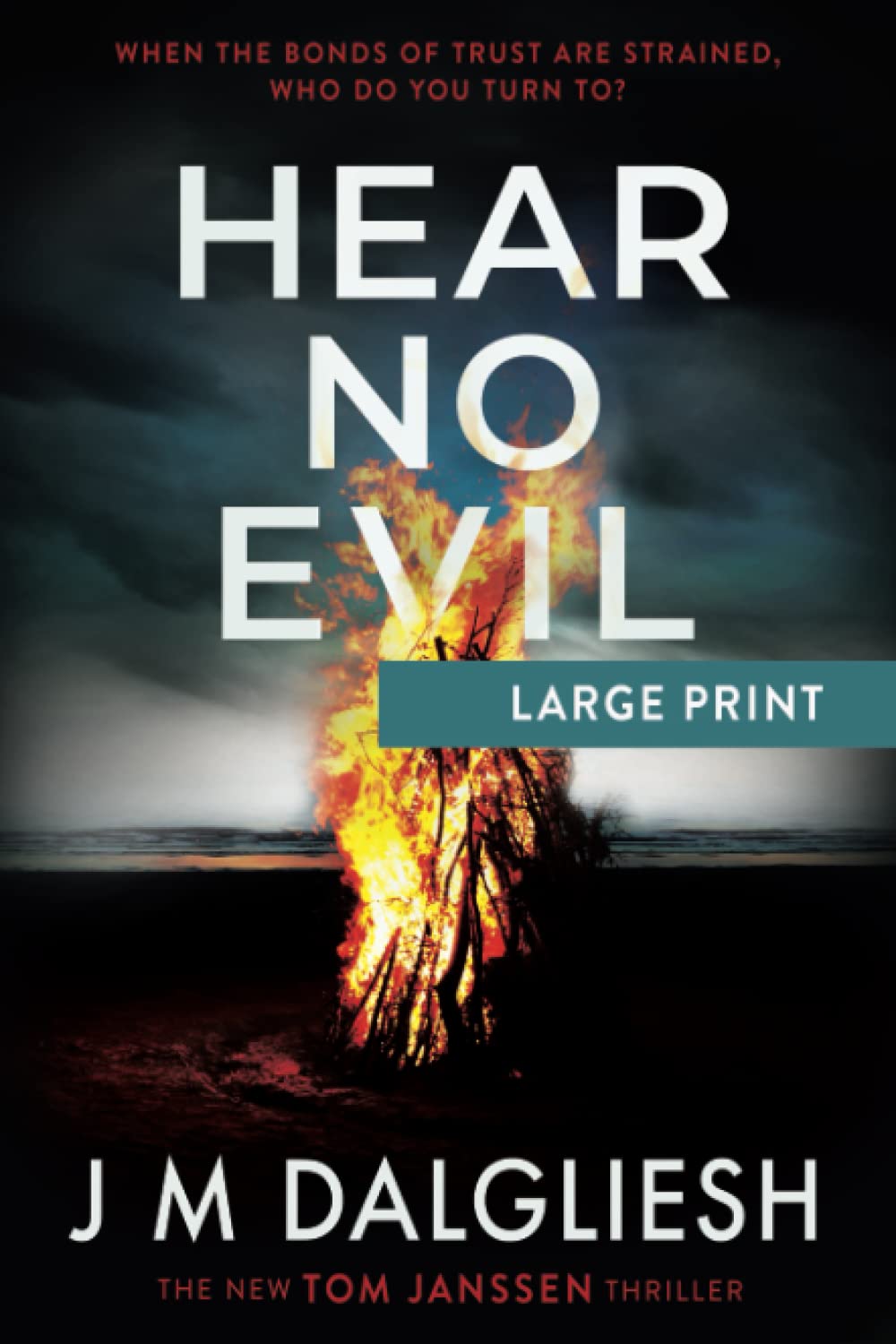 Hear No Evil (Large Print): 5 (Hidden Norfolk)