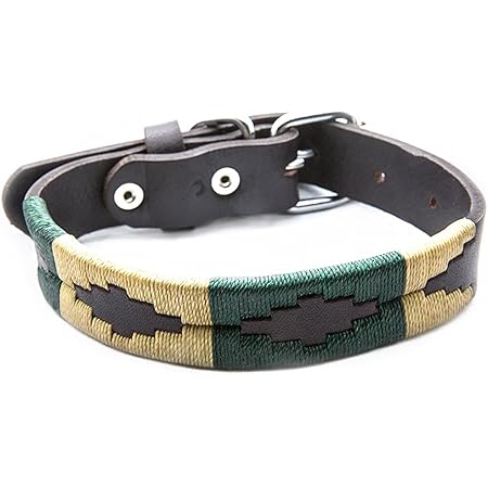 Dog belt cost Clearance
