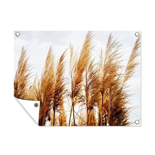 MuchoWow Poster exterieur Herbe de la pampa - Soleil - Herbe Decoration murale 40x30 cm Résistant aux intempéries/soleil