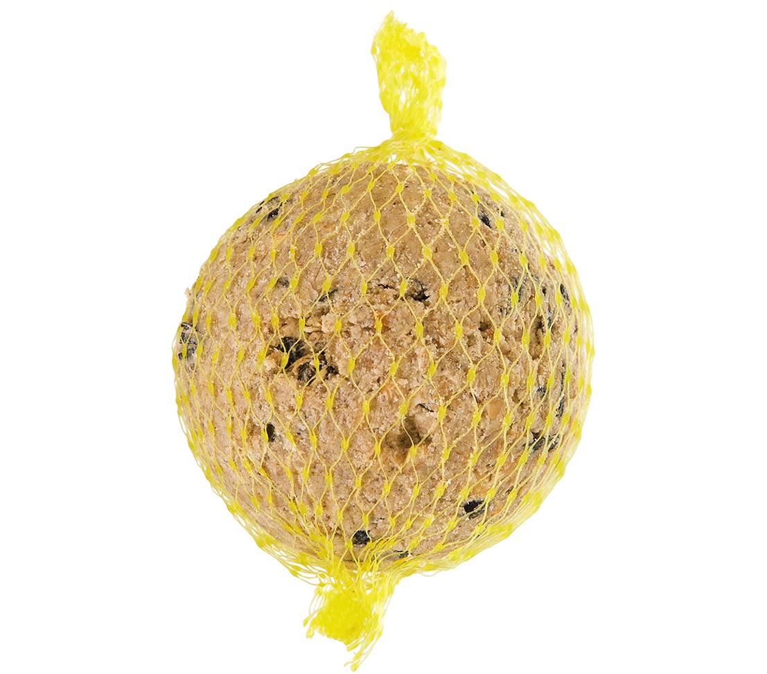 Dehner Natura Lot de 100 Grosses Boules de Graisse avec Filet 100 g 10 kg