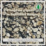 wetter viechtach 30 tage  Gsunga-Gspielt Bayr.Waldgau