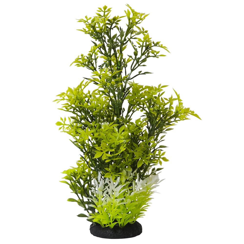 Nobby Aqua Ornaments Rotala 7 x 7 x 27 cm