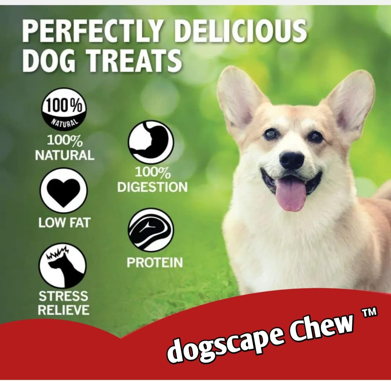 Odor Free Bully Sticks (4 Inch, 50 Pack) for Small & Medium Dogs - 100% Beef Chews for Pups, Non-GMO, Grain-Free, Fully Digestible Long Lasting Dog Treats