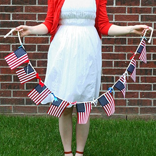 Image of Anley US National American String Pennant Flags, Patriotic Events 4th of July Independence Day Decoration Sports Bars - 33 Feet 38 Flags
