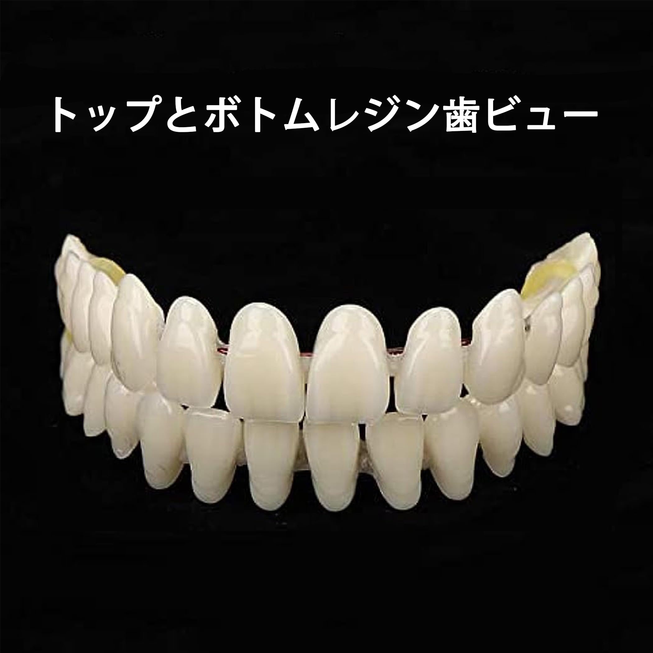 Amazon | Krasada自作のシンプルな入れ歯|入れ歯、入れ歯の前歯|上下に Amazon | Krasada自作のシンプルな入れ歯|入れ歯、入れ歯の前歯|上下に