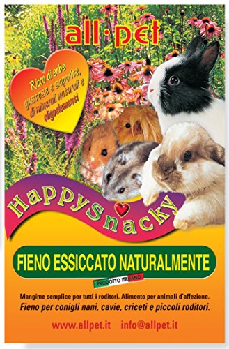 Fieno Happy Snachy 1Kg - All Pet