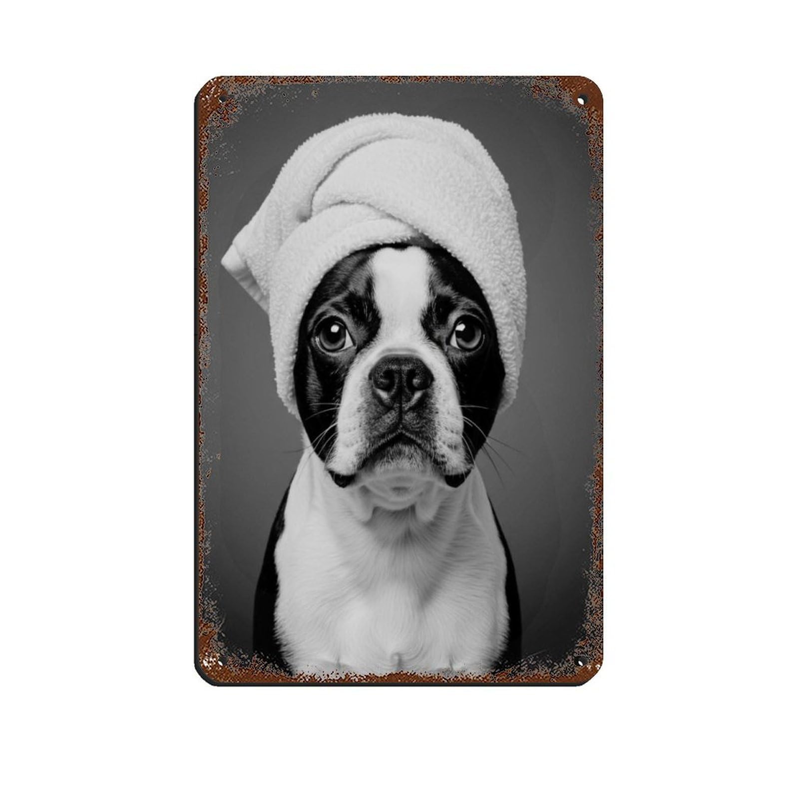 Boston Terrier Dog Bathroom Art Retro Poster Metal Tin Sign Chic Art Retro Iron Painting Bar People Cave Cafe Family Garage Poster Wall Decoration 8x12inch(20x30cm)