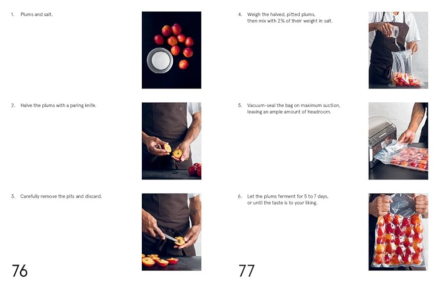 The Noma Guide to Fermentation - Explore the Art of Fermentation