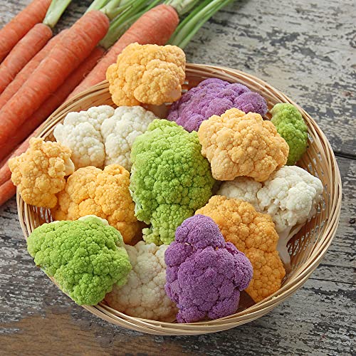semi di cavolfiore - rari resistenti esterno, varietà antiche, perenni biologici, Giardino 125pcs