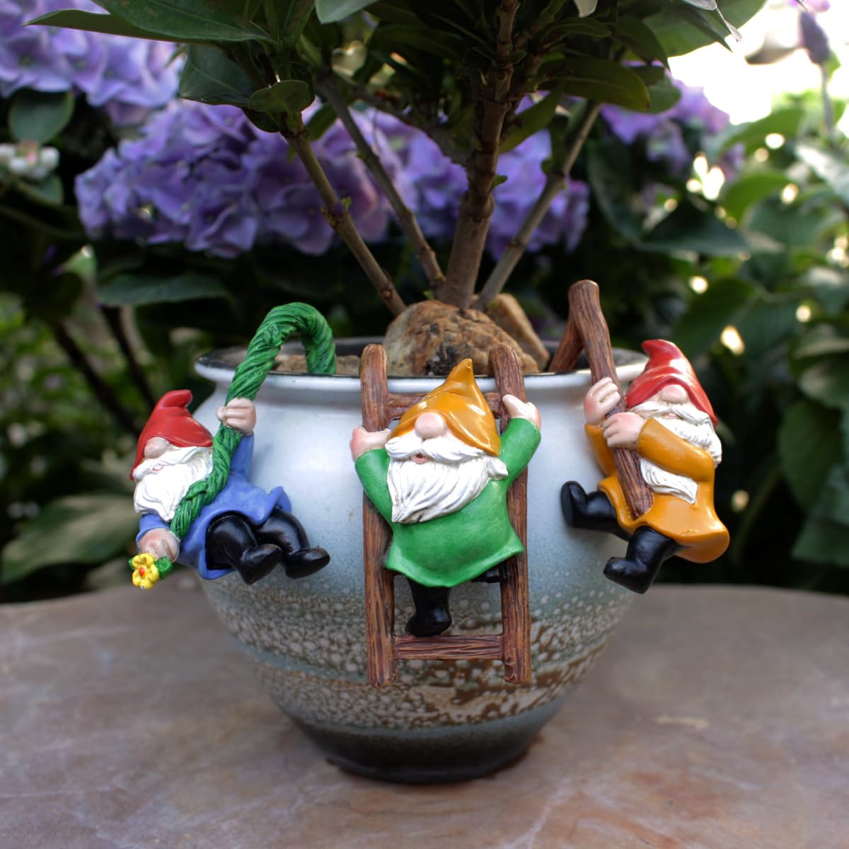 4 Pezzi Statuine Di Gnomi Da Giardino Fatato In Miniatura In Resina K Di Gnomi E Paesaggio Micro-nani Ornamenti Statua Per Decorazione Di Piante Bonsai E Vasi Da Fiori | SHEIN ALIA