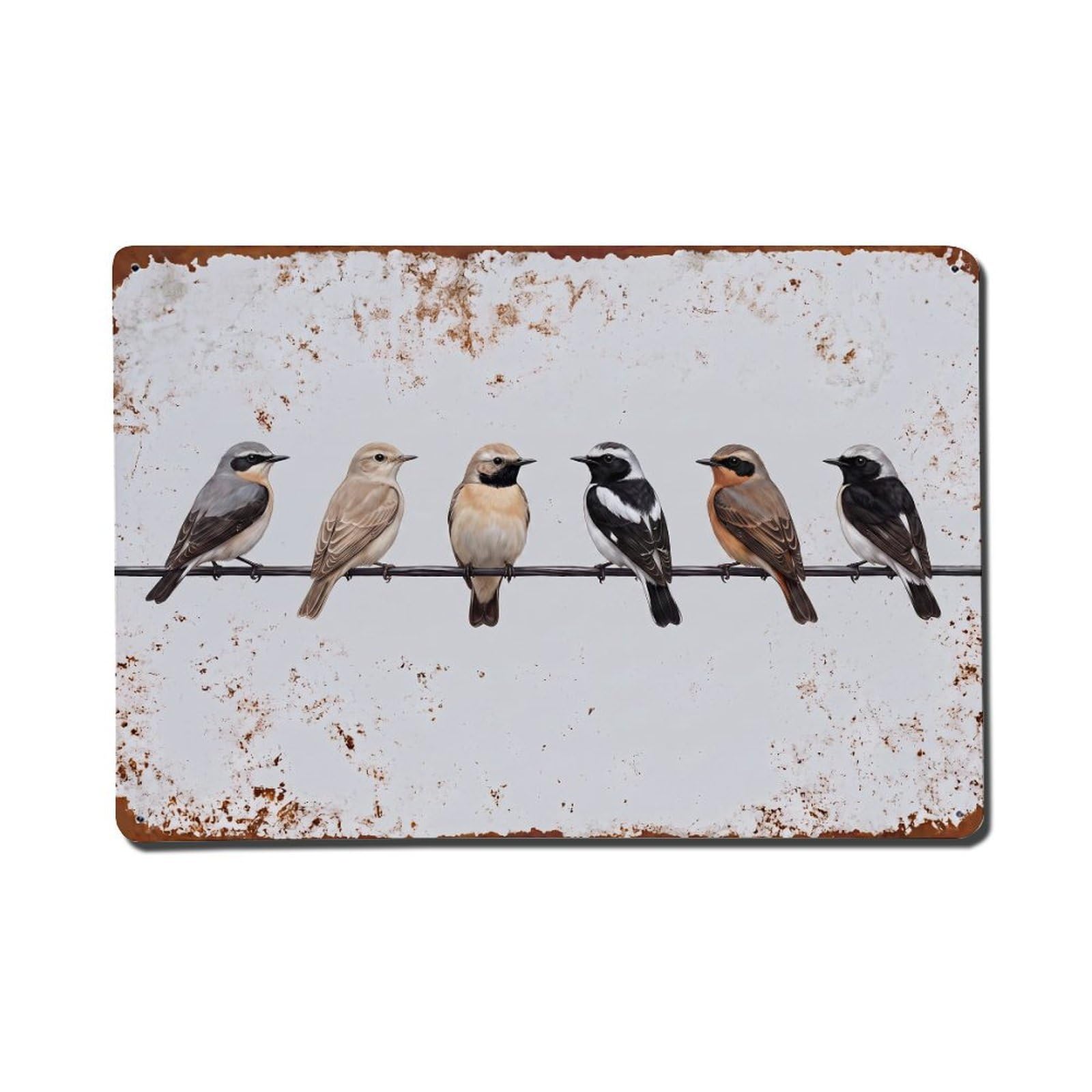 Vintage Retro Birds Wheatear Metal Tin Sign