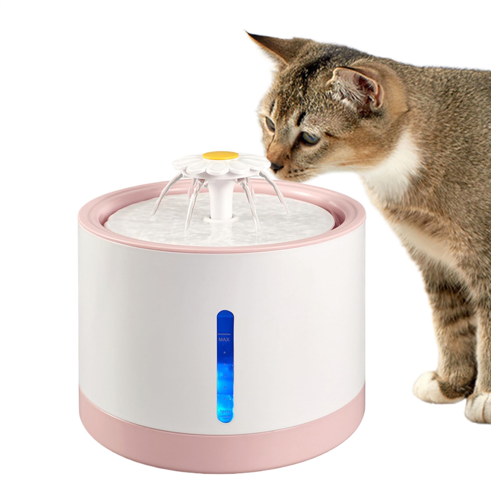 Dispensador de Agua para Perros Recargable